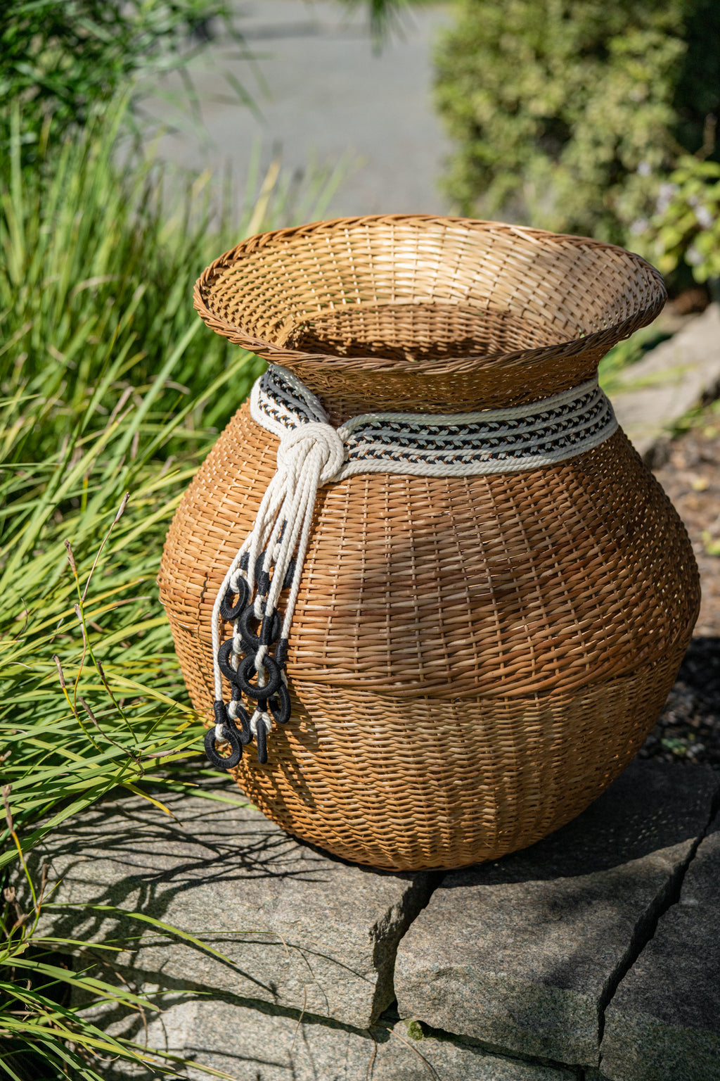 Vaso Ânfora